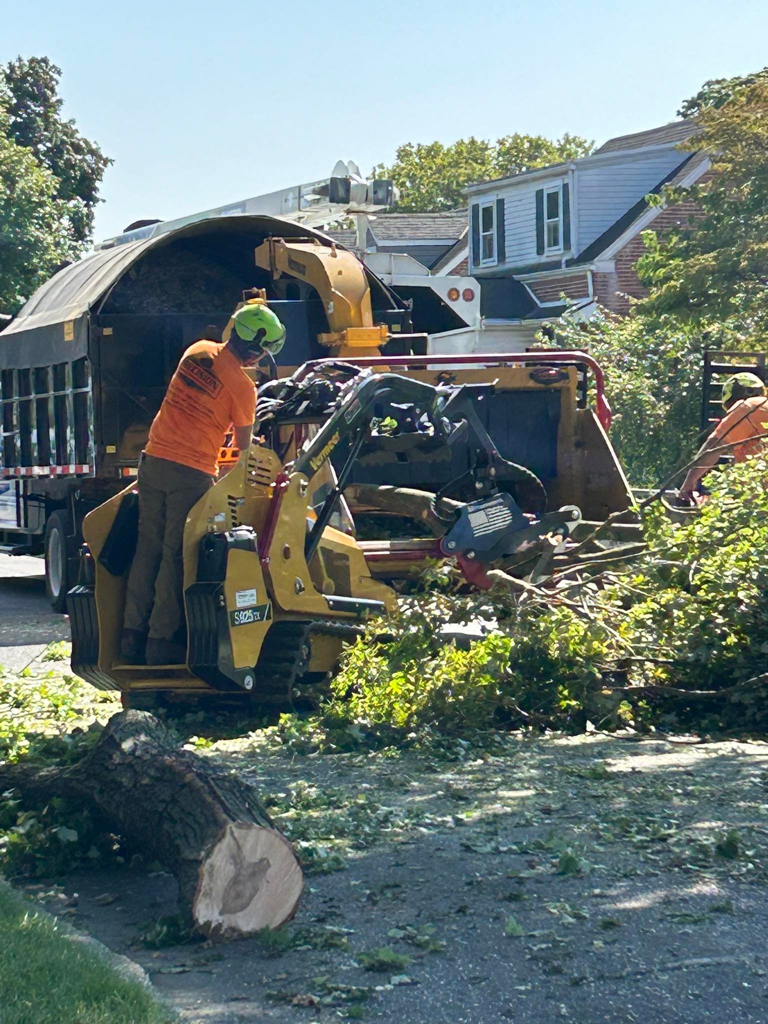 Precision Tree Experts | Easton PA