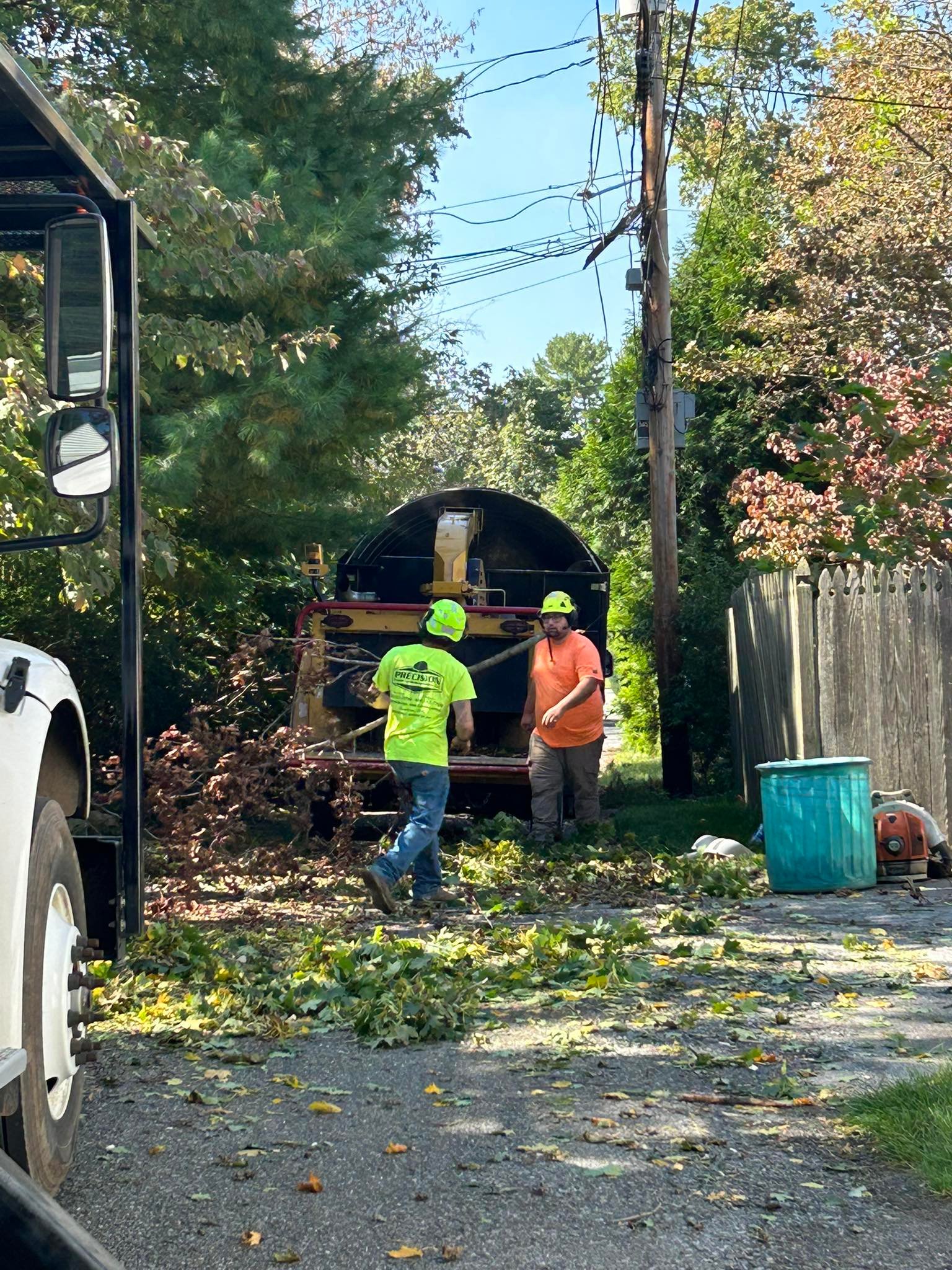 Precision Tree Experts | Easton PA