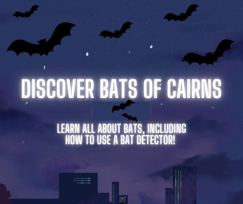 FREE Bat Walk and Talk Detection Night - Cairns