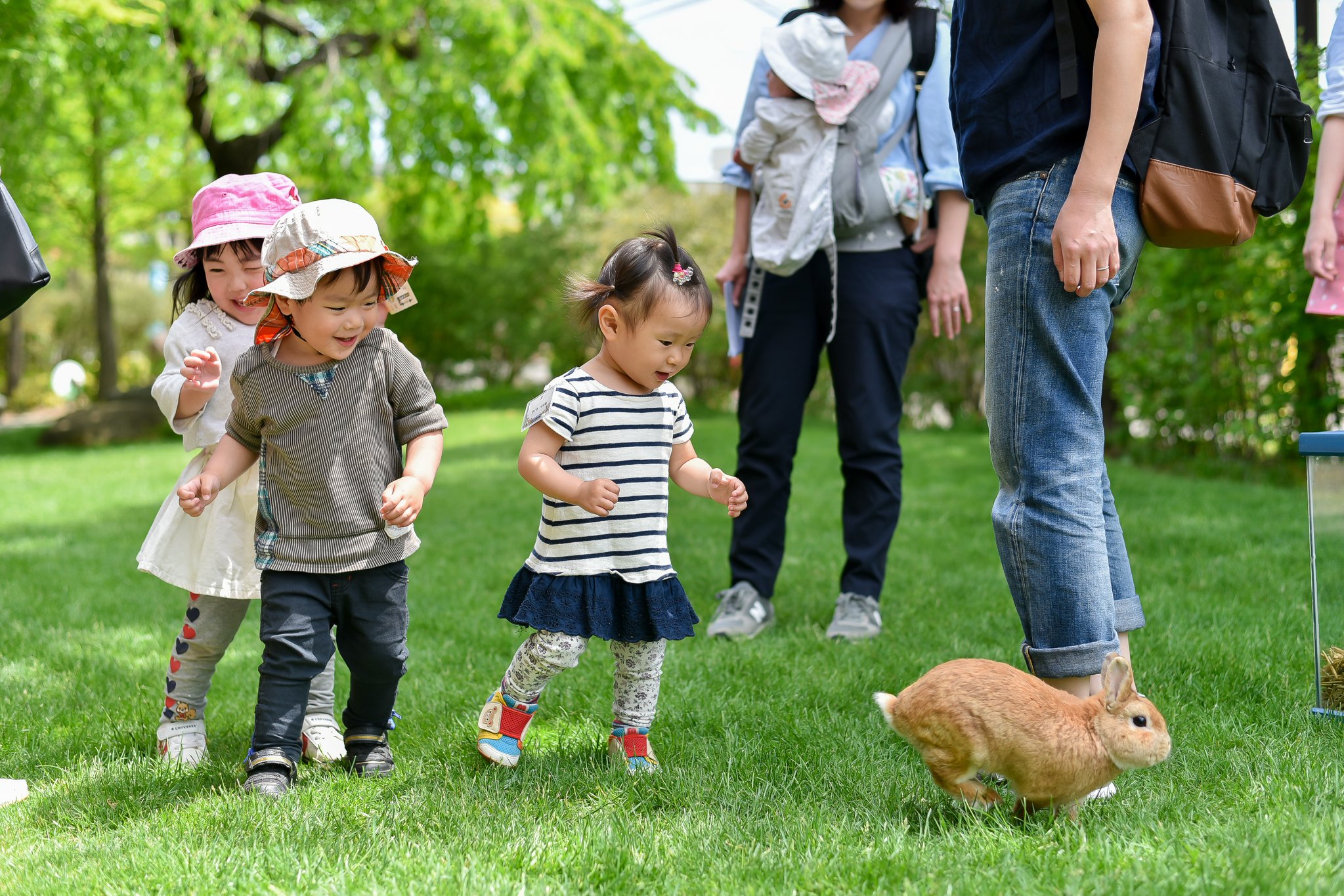 宮城明泉学園 先日 開催した 動物ふれあいイベント には約１００組のご家族 ２００名以上の方にご参加をいただきまし Facebook