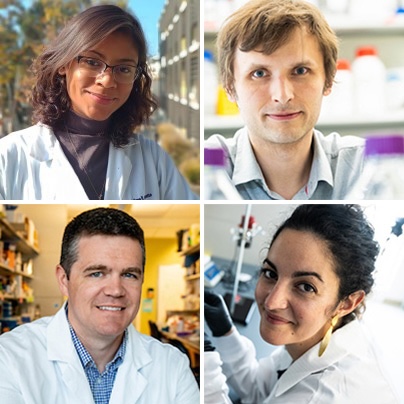 Rice - The Rice Brain Institute has announced its first seed grant ...