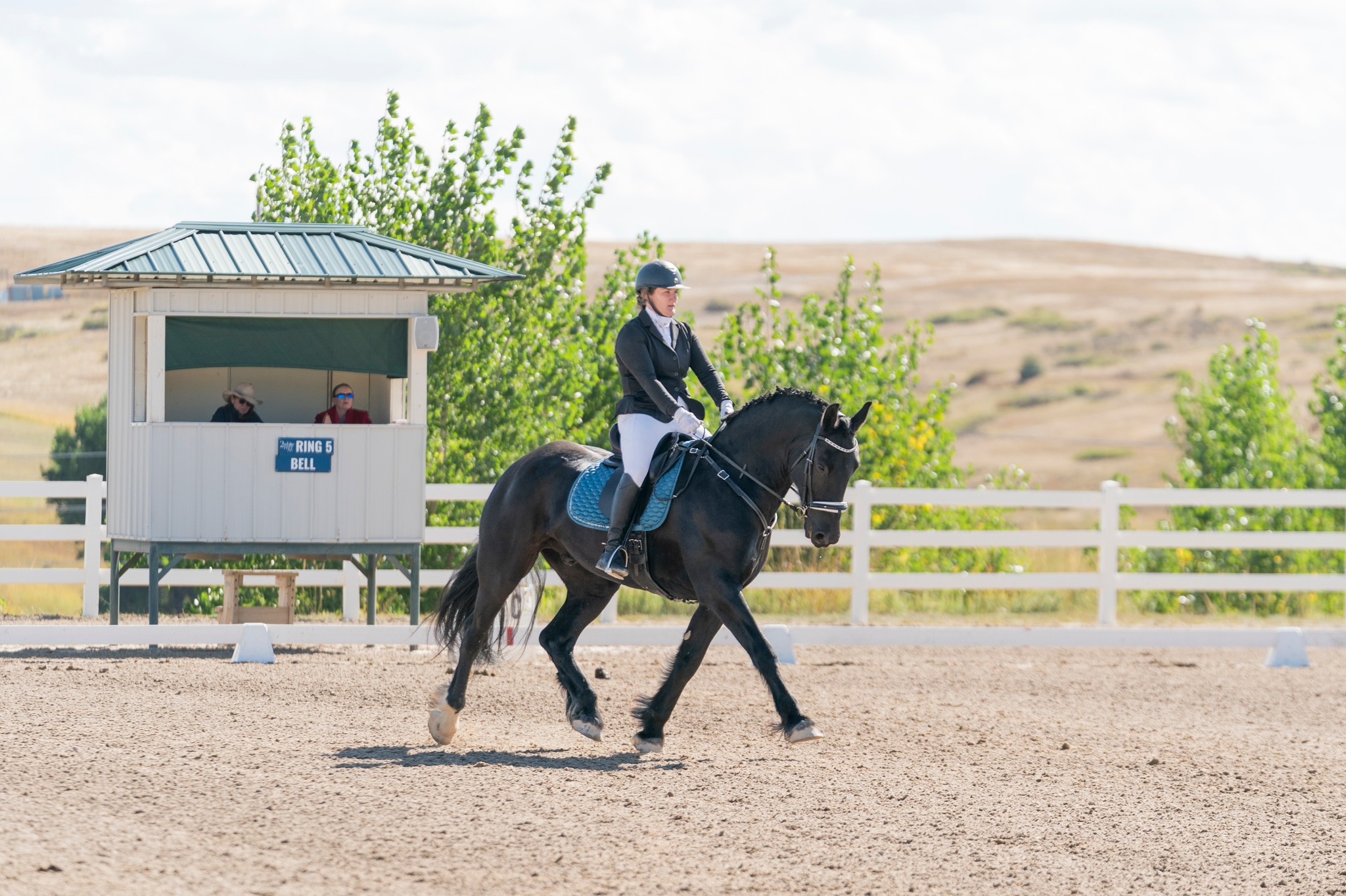 United - As a rider, trainer, judge, & official, Linda Zang has forever ...