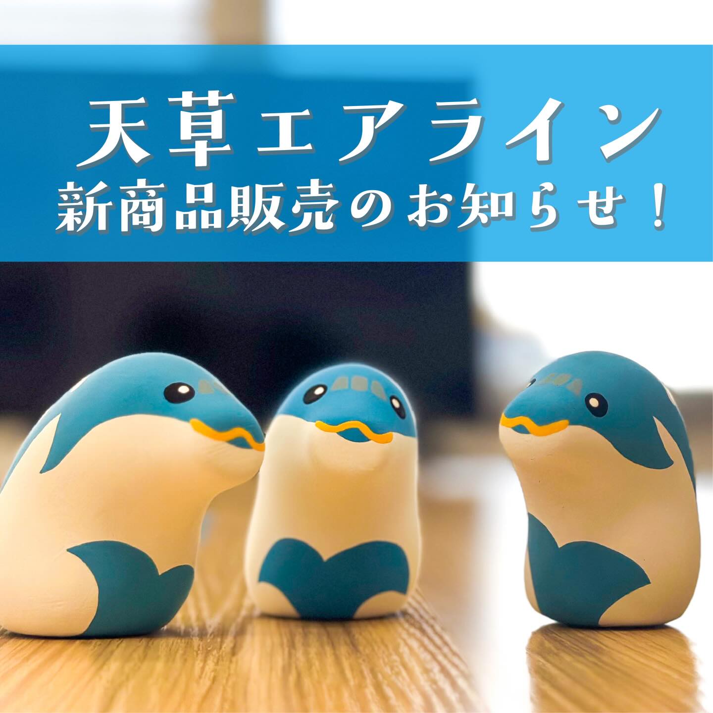天草エアライン 新商品販売のお知らせ！ 「天草エアライン みぞか号10