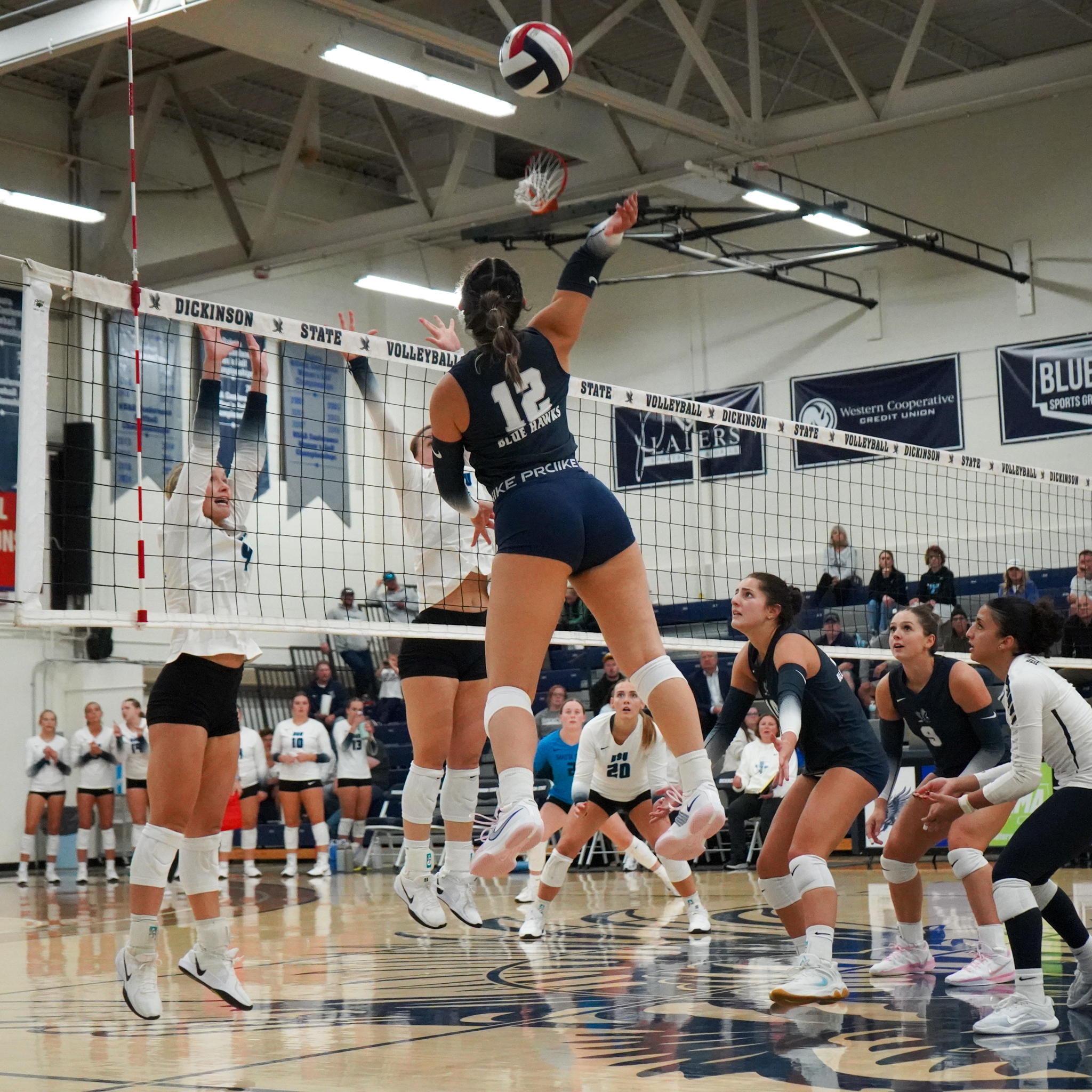 Dickinson State... - Dickinson State University Blue Hawks