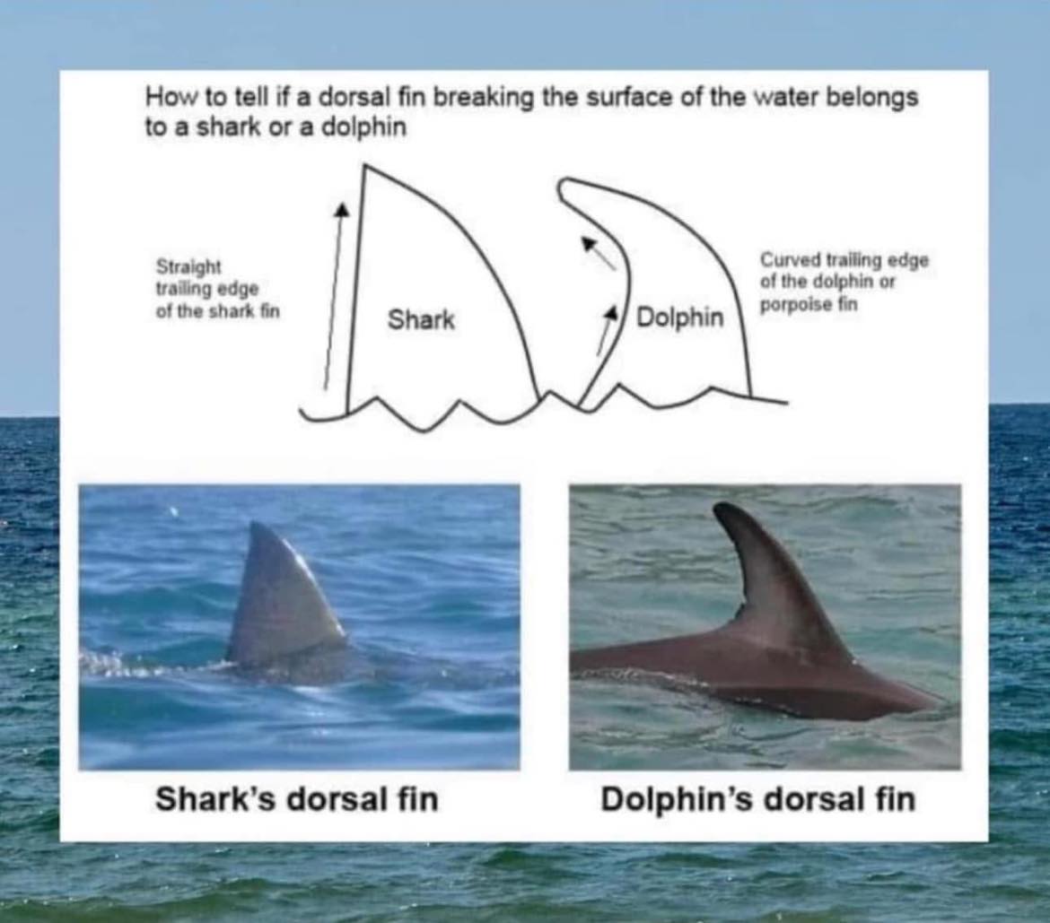 Florida - Extremely good info to know! | Facebook