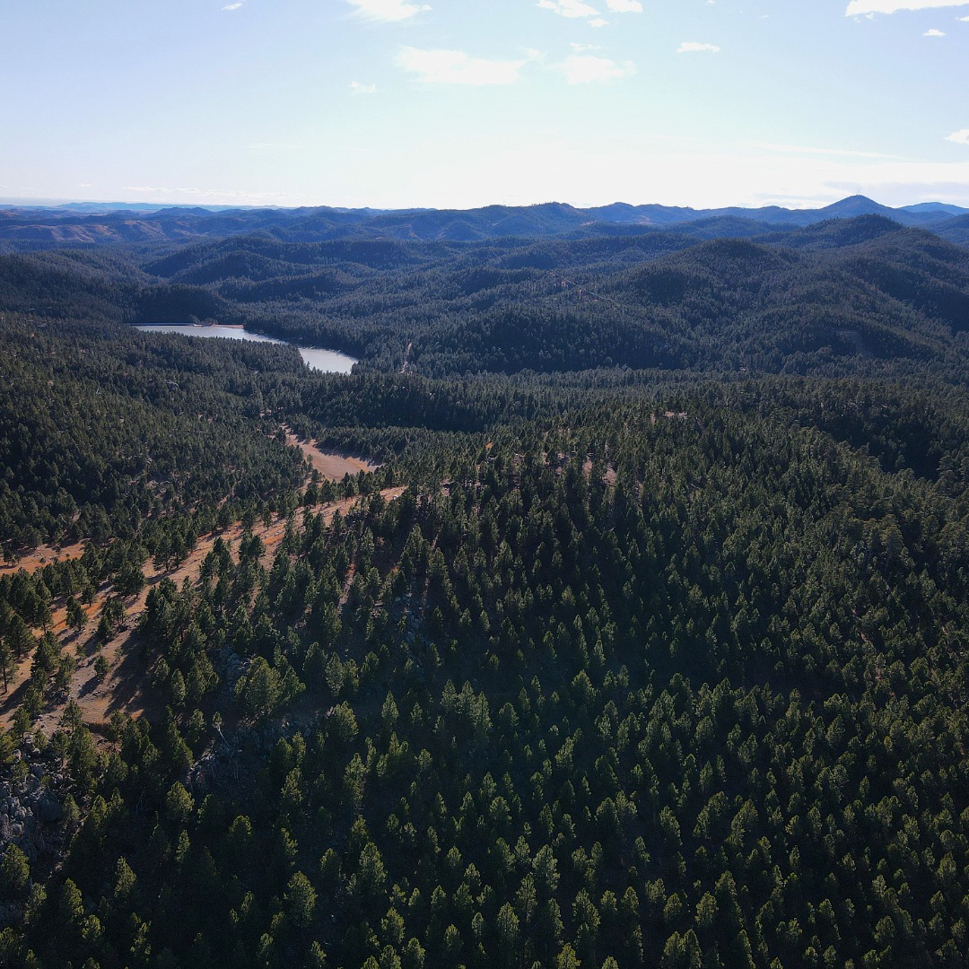 Custer State Park | Custer SD