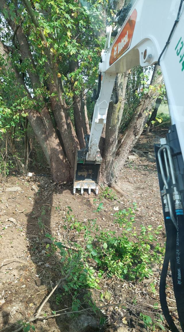 Bulldogging Excavating Inc.... - Bulldogging Excavating Inc.
