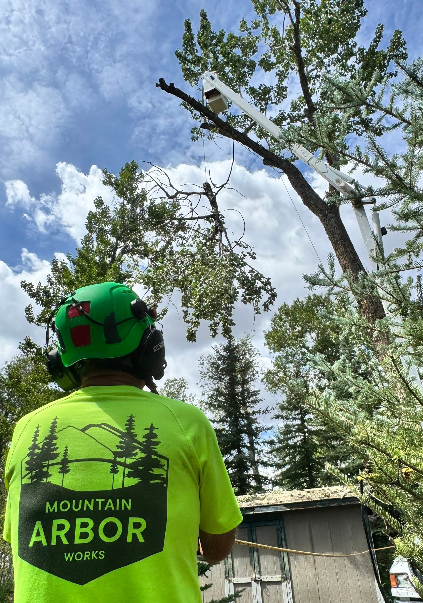 Mountain Arbor Works