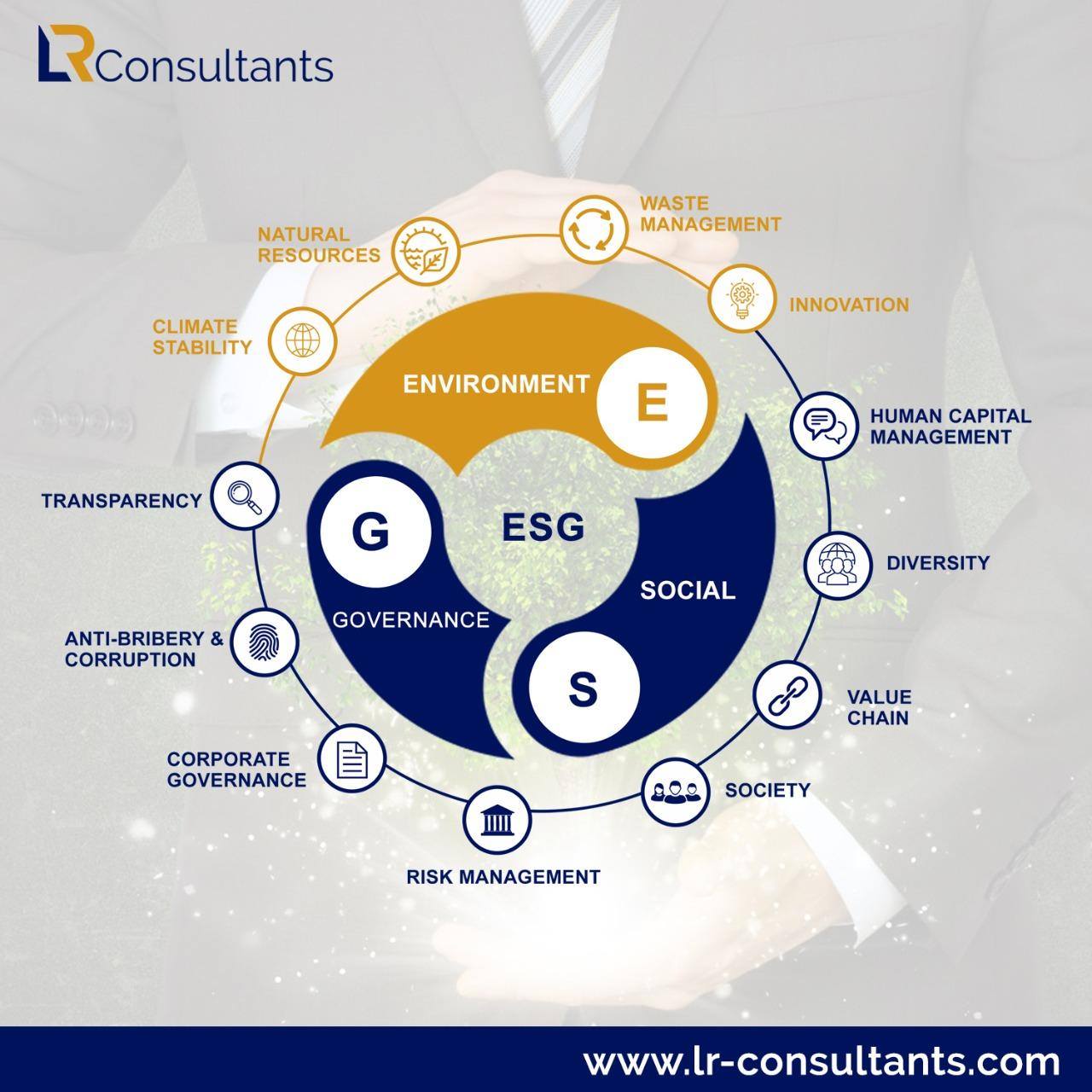 LR Consultants