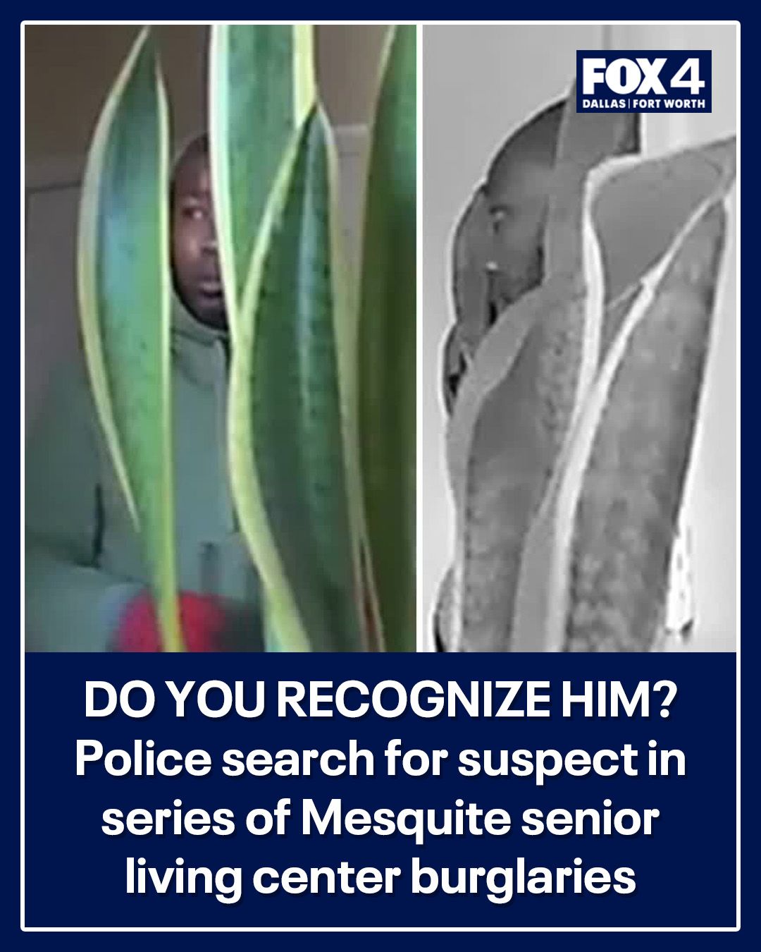 FOX - A burglar who has been targeting residents in a Mesquite senior ...