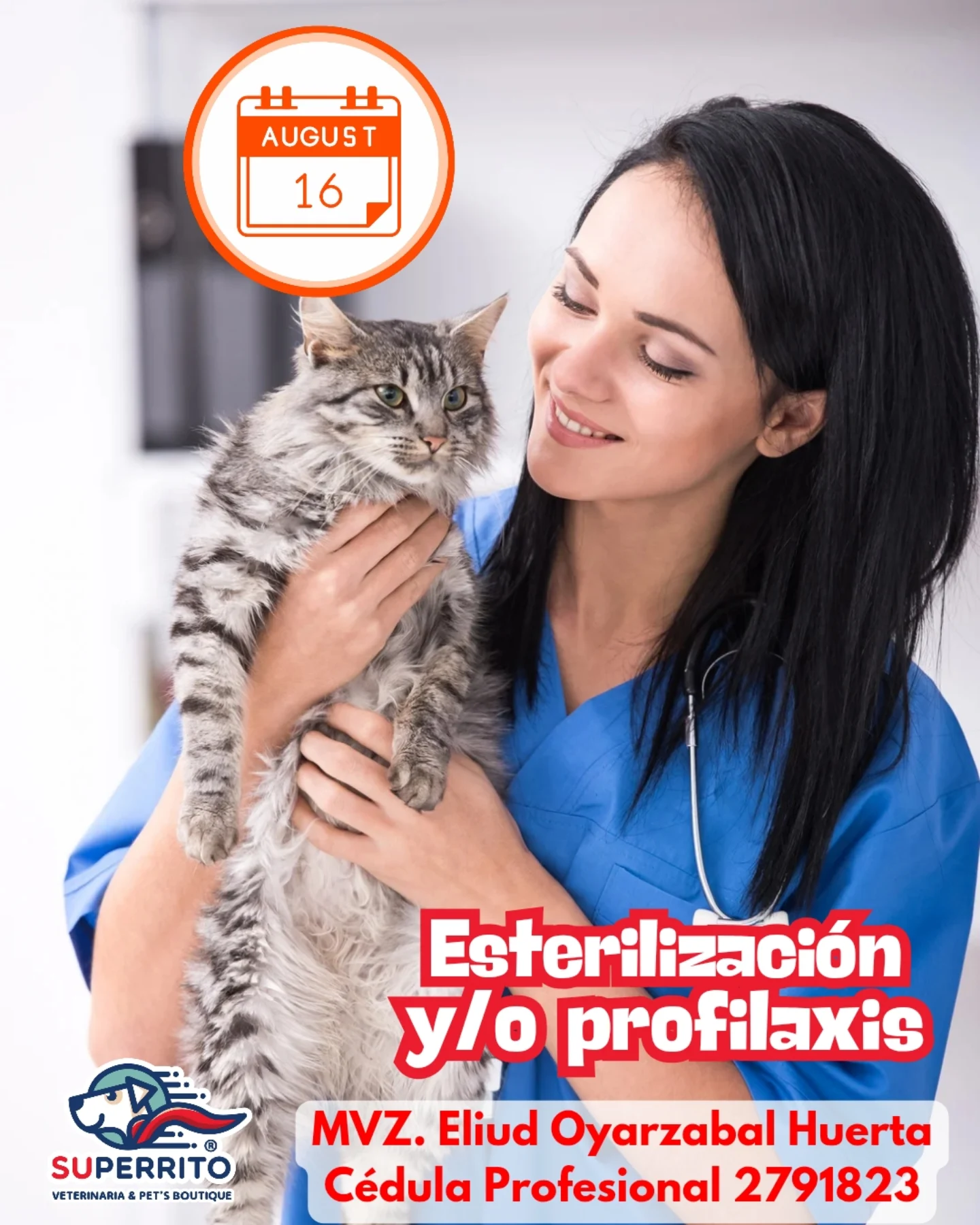 Superrito - 💡¿Sabías que esterilizar y limpiar los dientes de tu ...