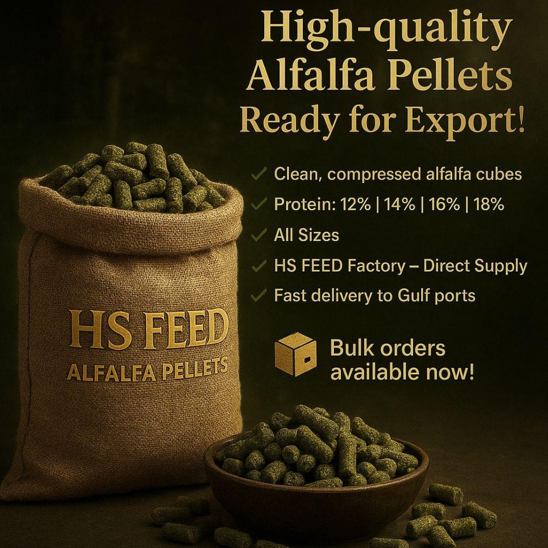 HS - 🚛 High-quality Alfalfa pellets – Ready for Export! Clean ...