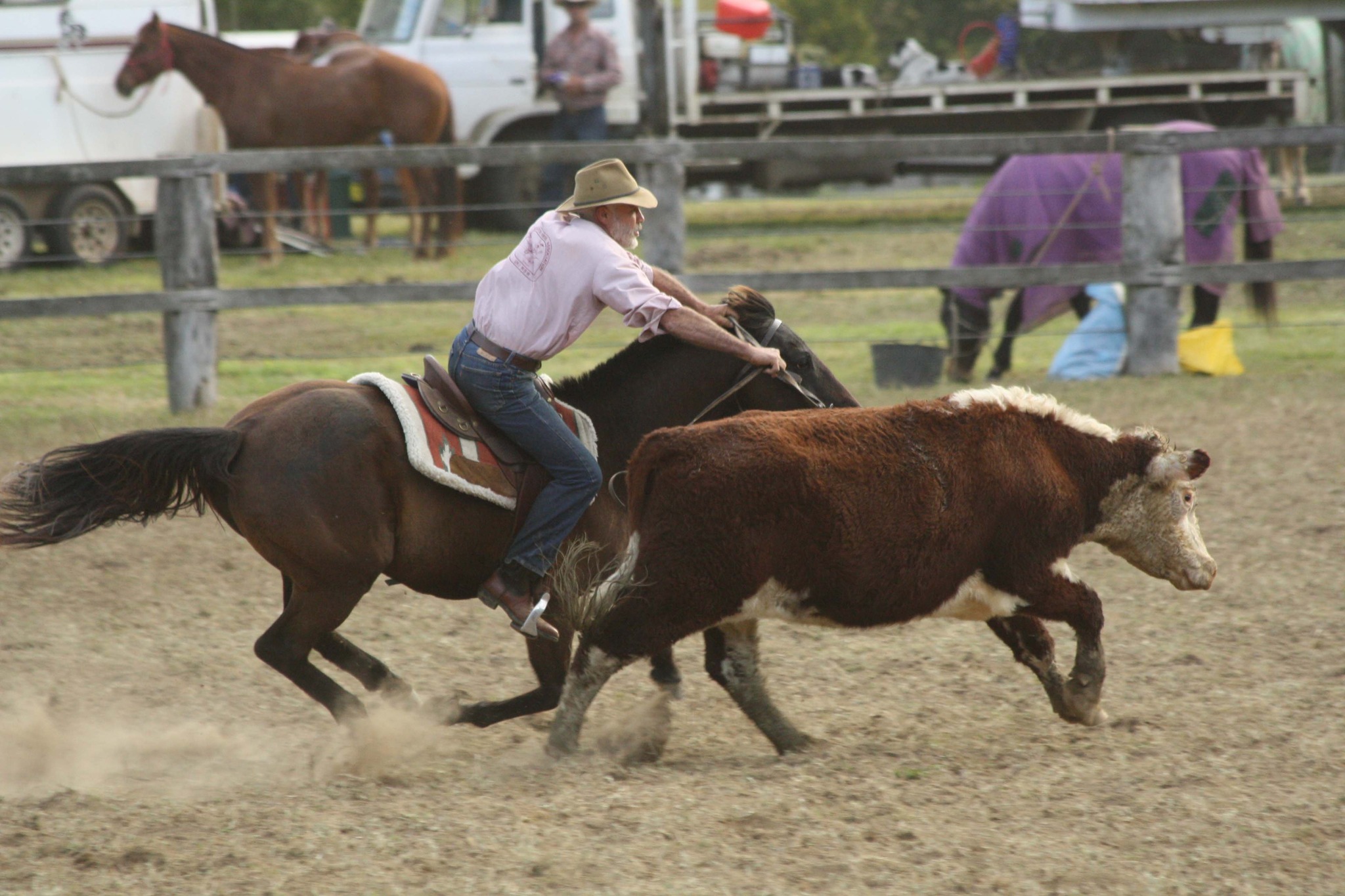 Uki Sporting Horse Association Another wonderful club day thankyou to ...