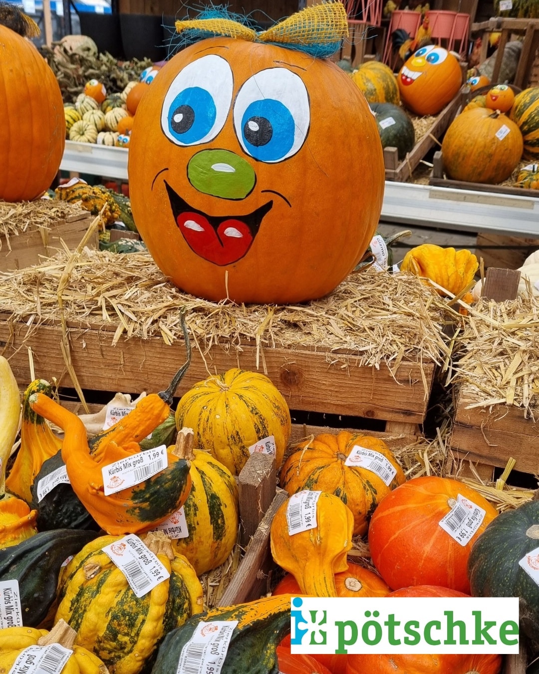 🎃🍂 Die ersten Kürbisse sind da! Perfekt für deine herbstliche Deko im Garten oder vor der Haustür. 🤎 #pötschkeschwerte #herbstdeko #kürbisliebe #gartenfreude #kürbis #herbstlich