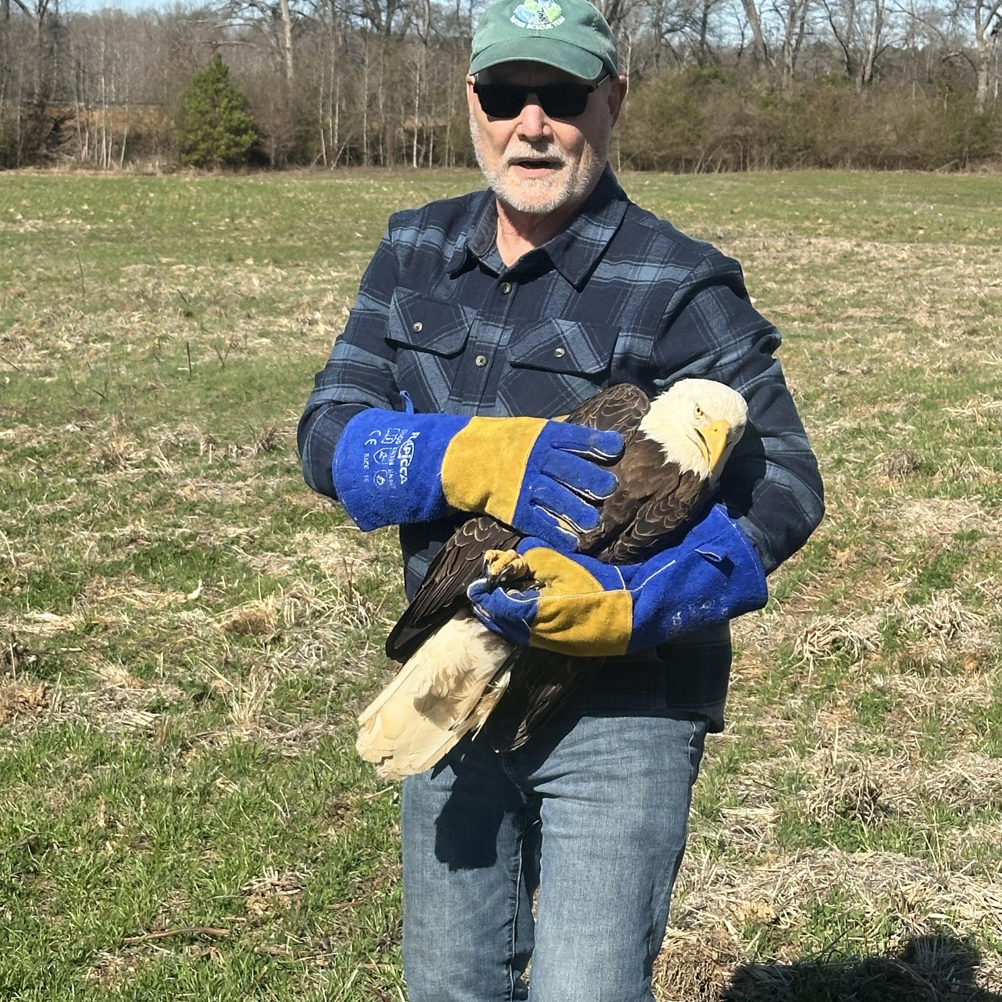 Mark Hughes - This hawk had itself in a tough situation.... | Facebook