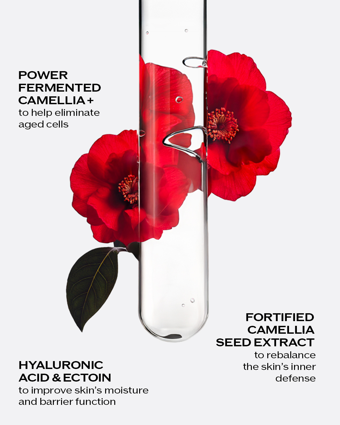 スキンケア・基礎化粧品 SHISEIDO ULTIMUNE Flower Infusing Oil 他