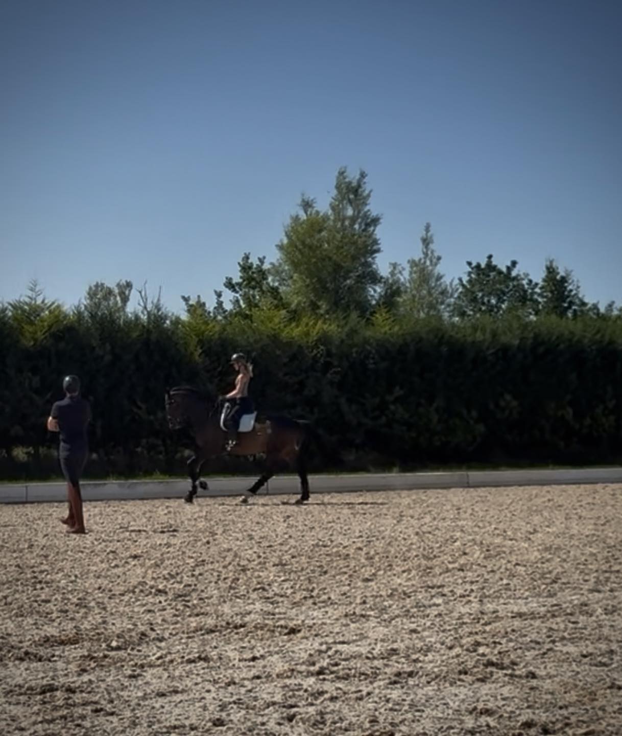 Charlie Hutton Equestrian... - Charlie Hutton Equestrian