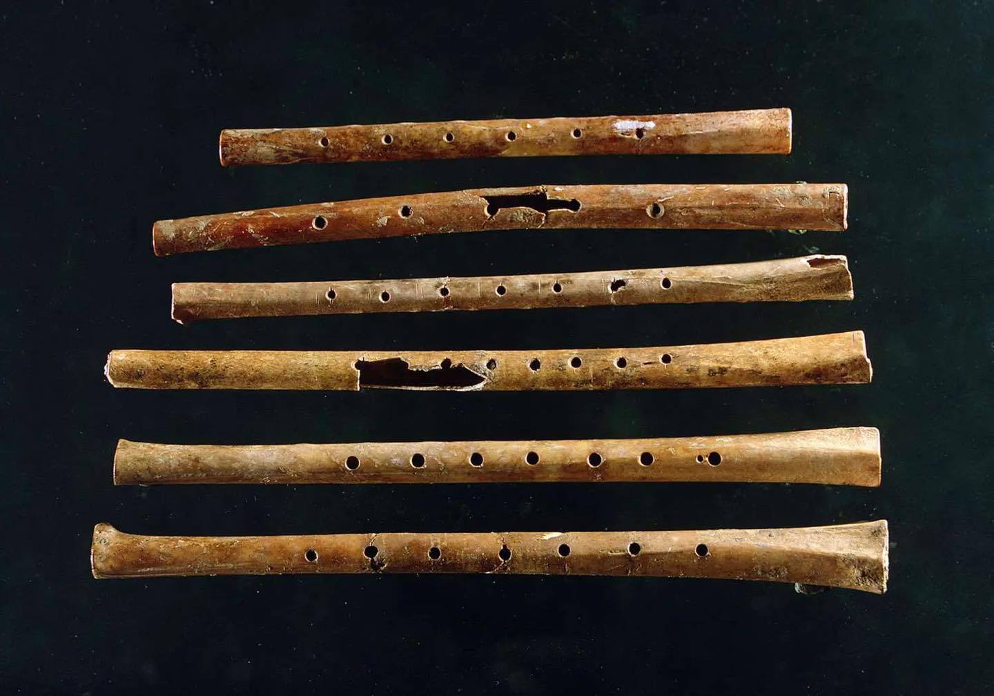Museum - The oldest musical instrument ever discovered is a 43,000 year ...