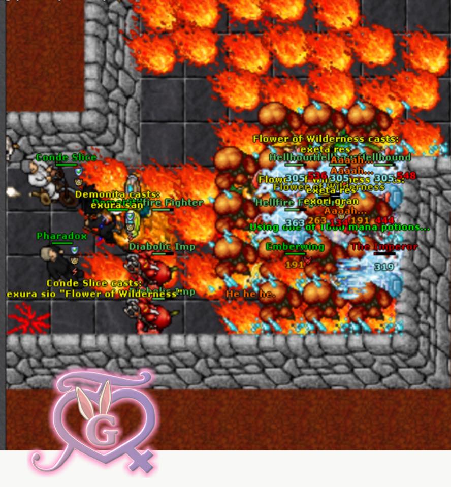 Tibia Girls - El jugador Flower of Wilderness y sus amigos...