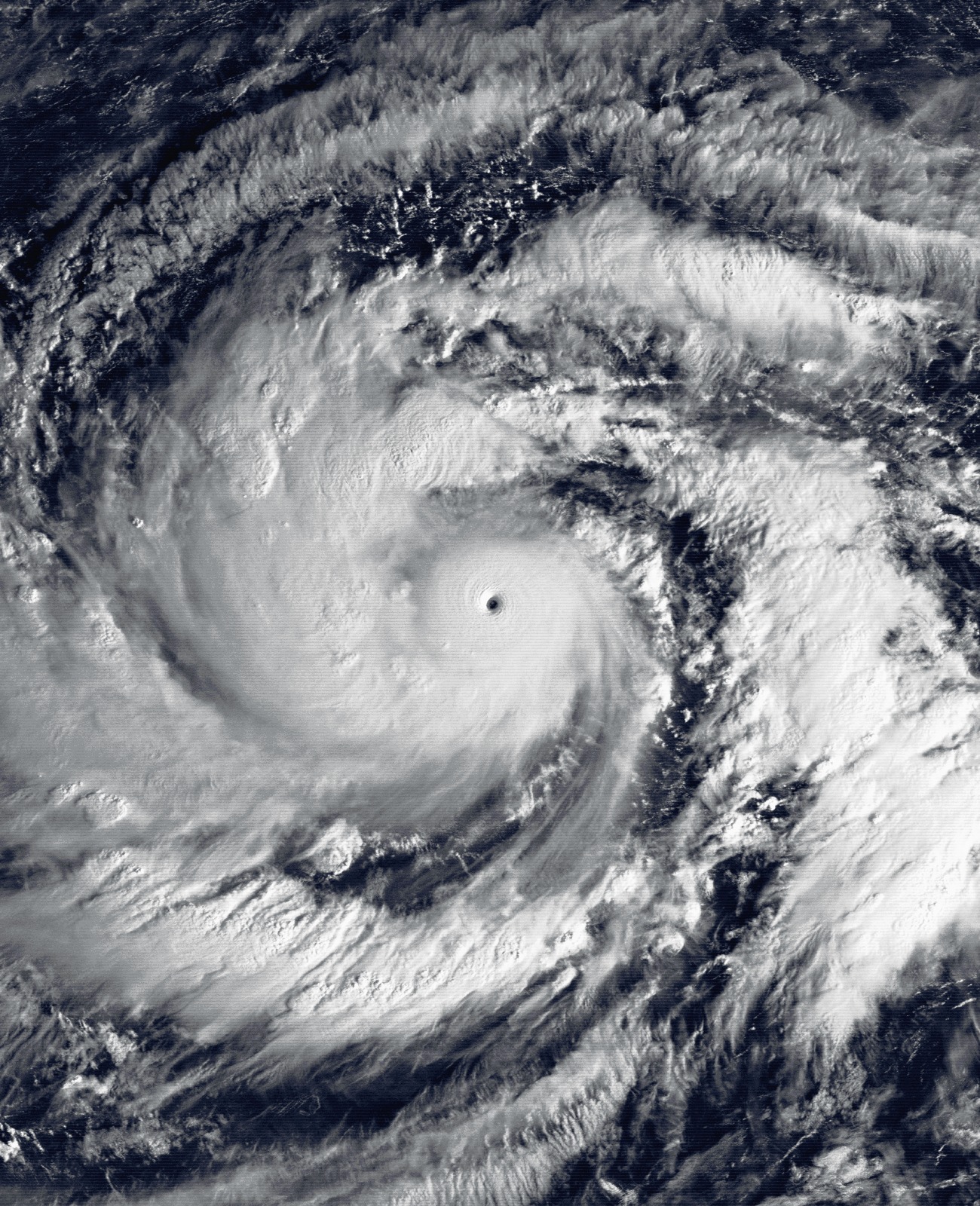 UnknownCebu - The Fury of Typhoon Ruping (1990) : 35 Years Ago Typhoon ...