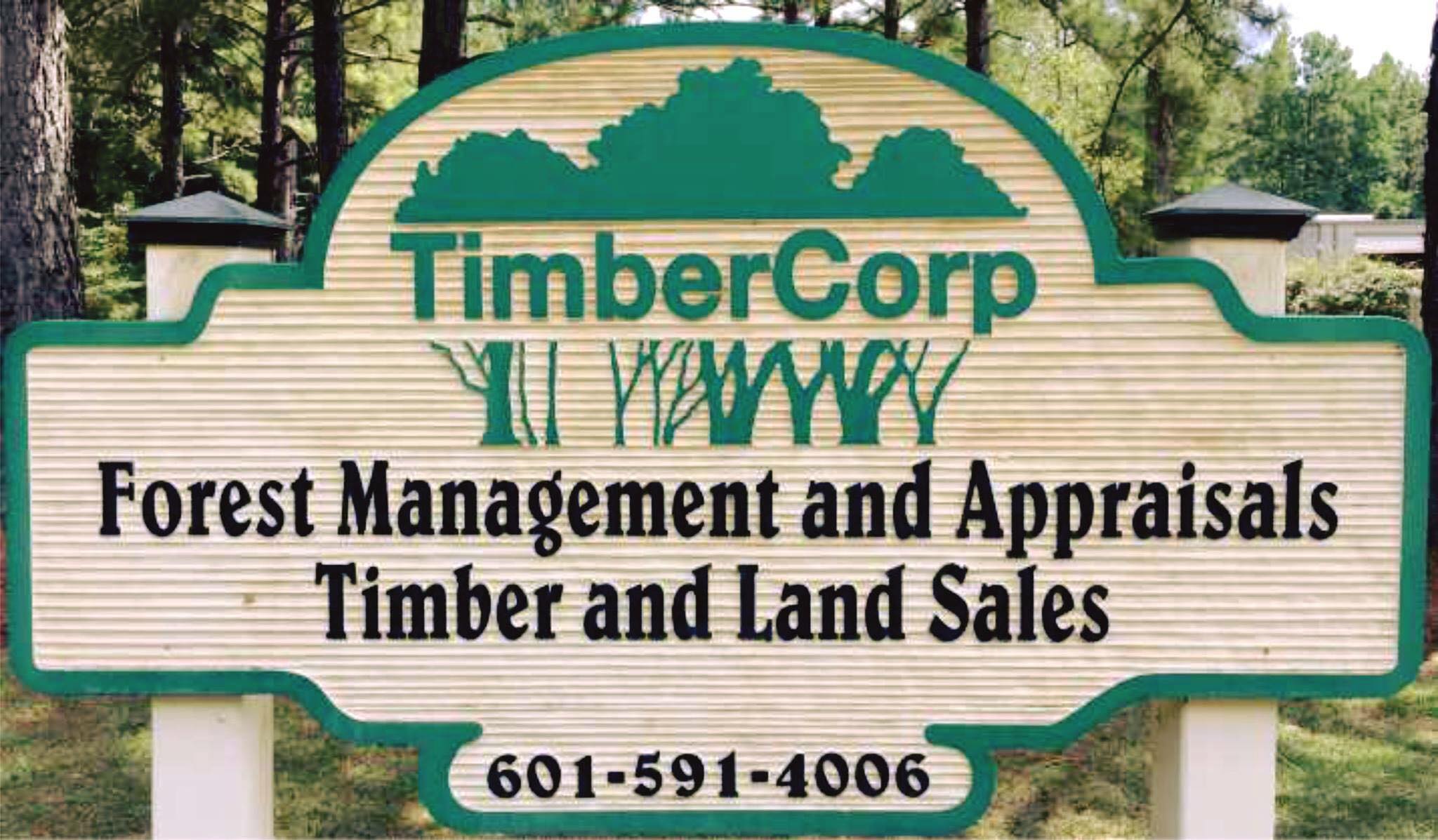 Timbercorp | Brandon MS