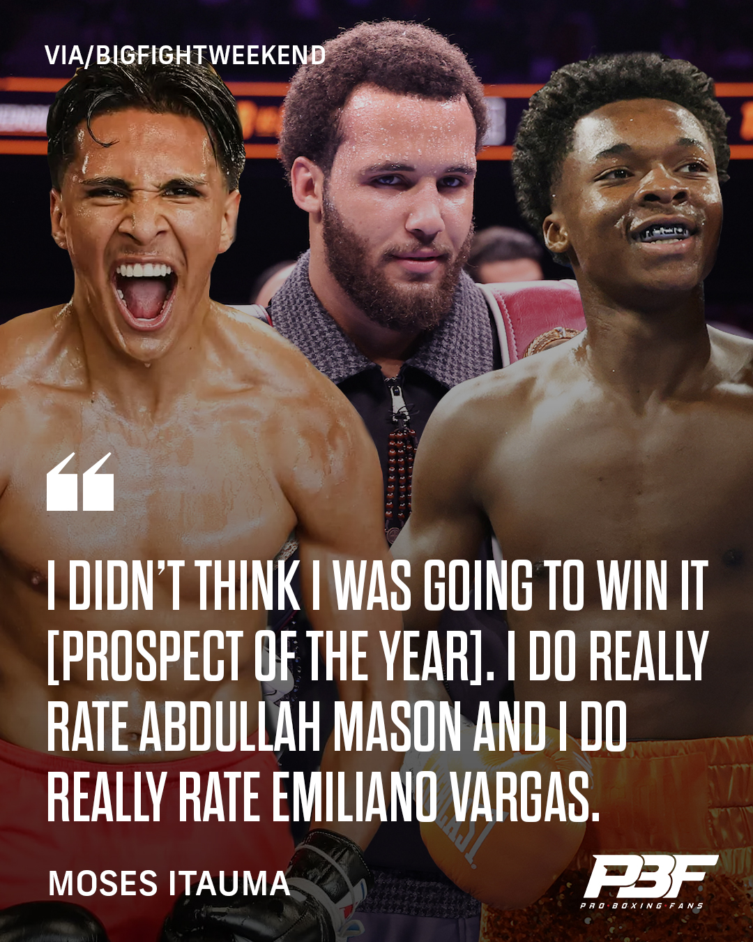 Pro Boxing Fans - 