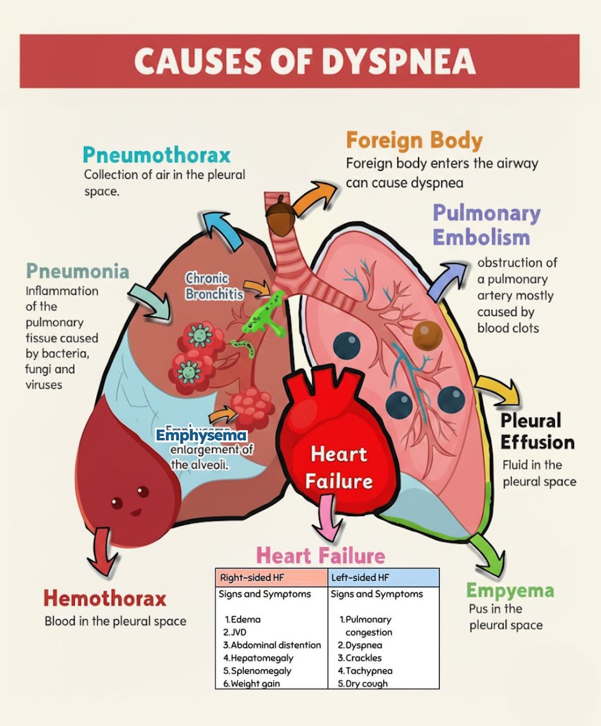 Causes of Dyspnea 🫁 - Respiratory Therapy Zone | Facebook