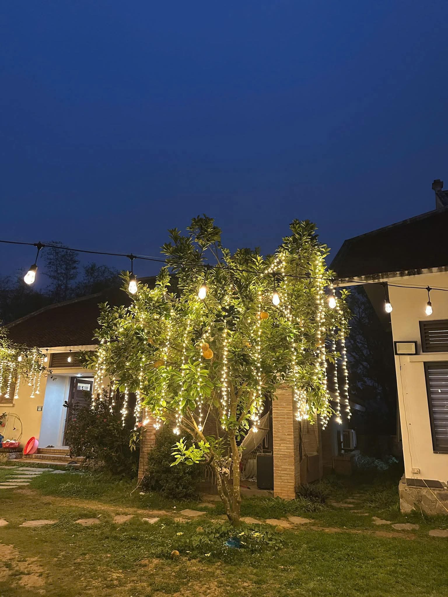 Đèn Led Mành Rủ Giá Rẻ