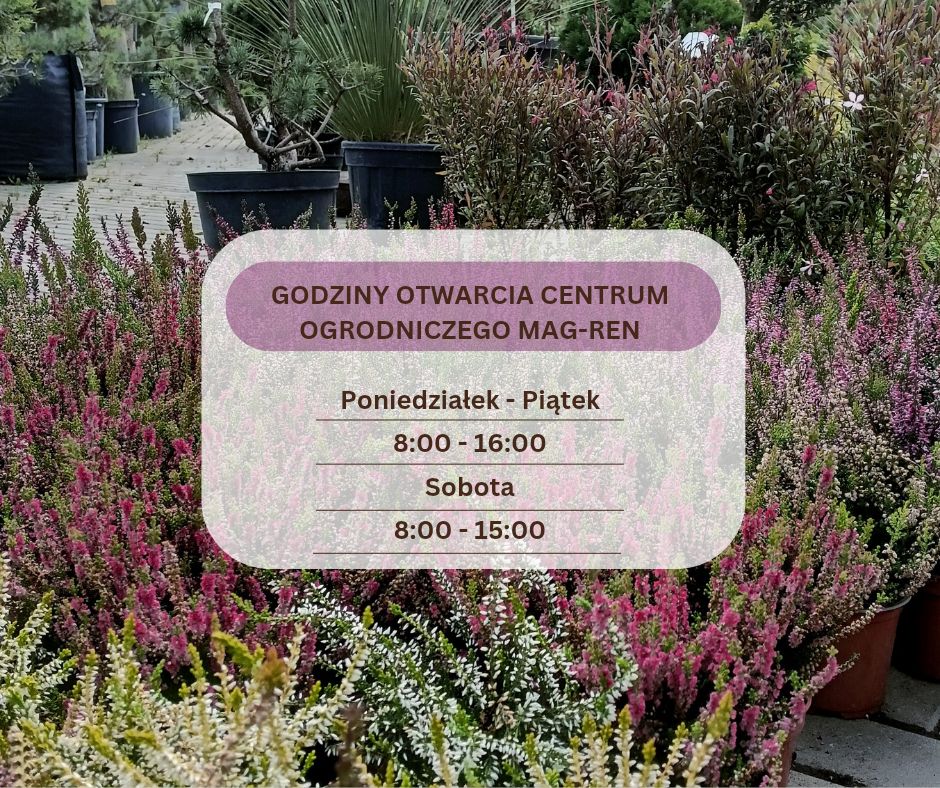 MAG - REN - Drodzy Klienci. Skracamy godziny otwarcia... | Facebook