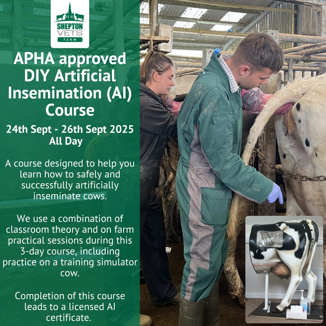 Shepton - If you would like to learn how to safely and successfully ...