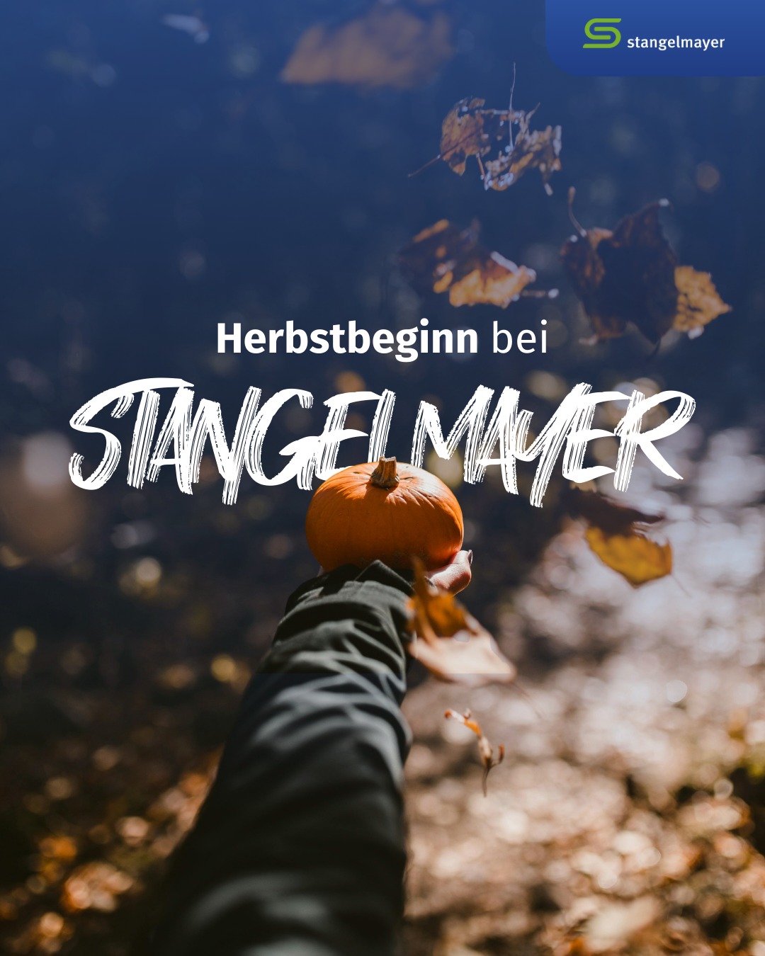 textilservice-stangelmayer-kolbermoor