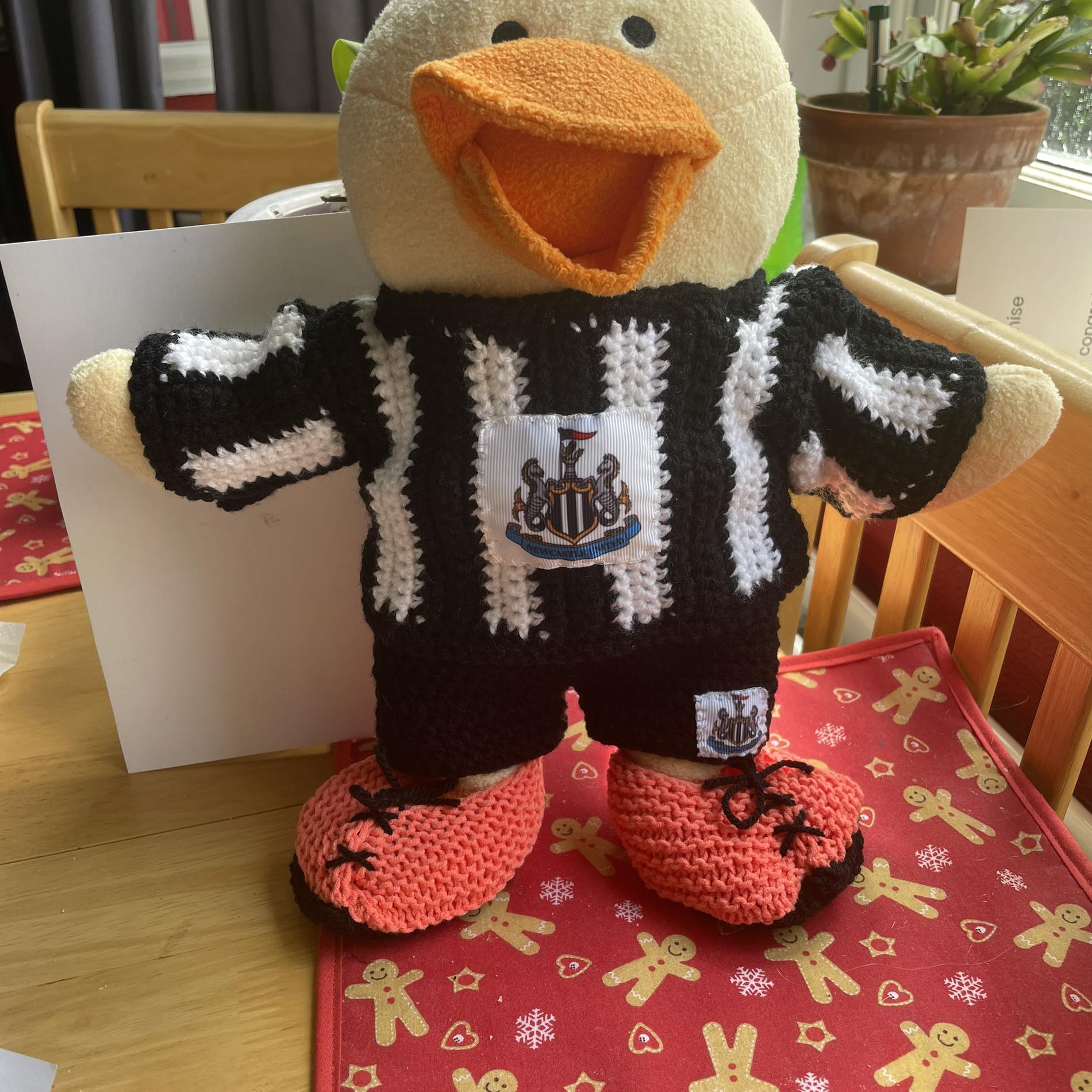 Random acts of Knitting and Crochet kindness | Please can someone tell ...