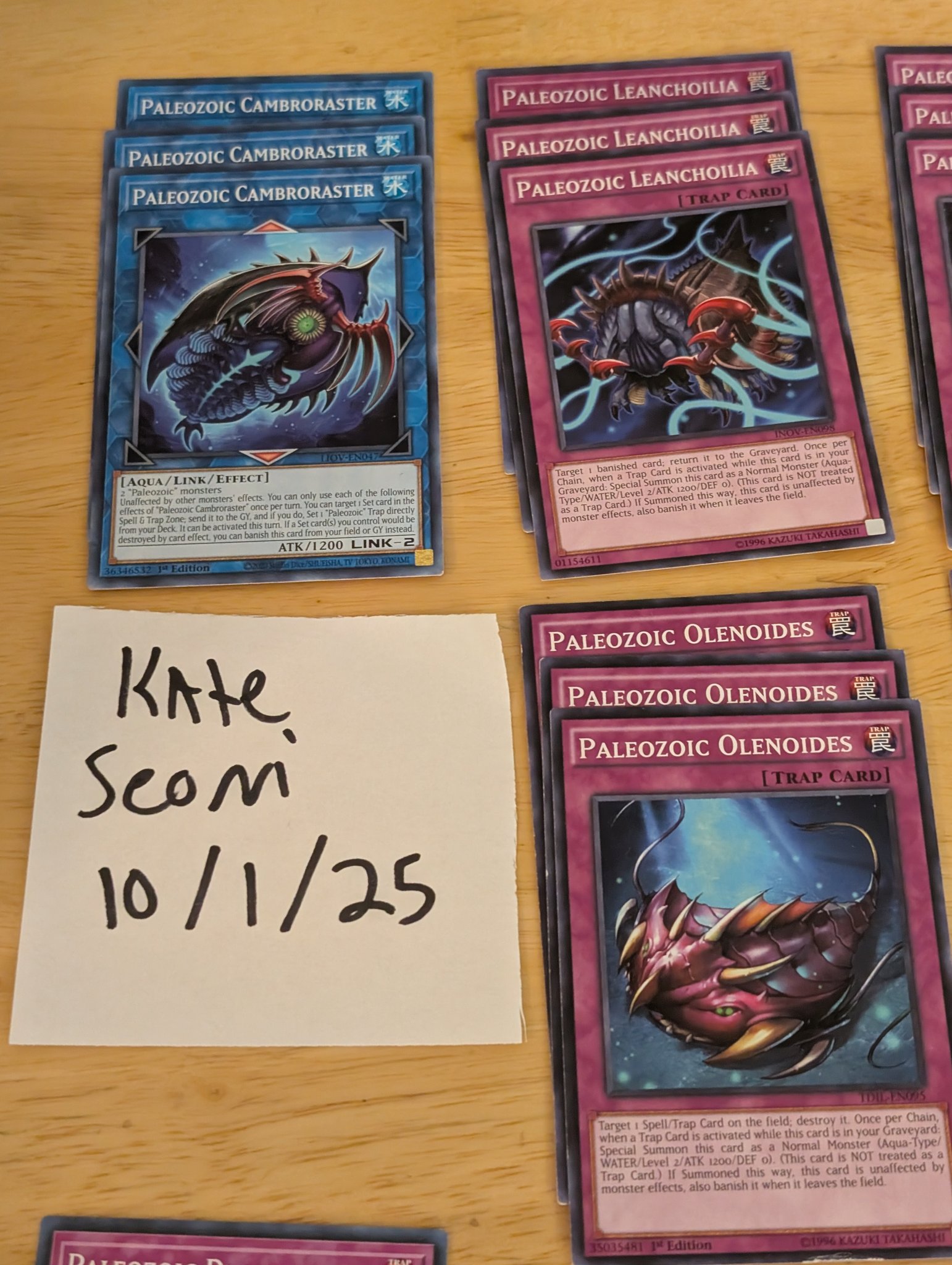 yugioh paleozoic deck Complete Custom for Yu-Gi-Oh! All cards will be carefully packed for safe transit Paleozoic Spright deck building suggestions?