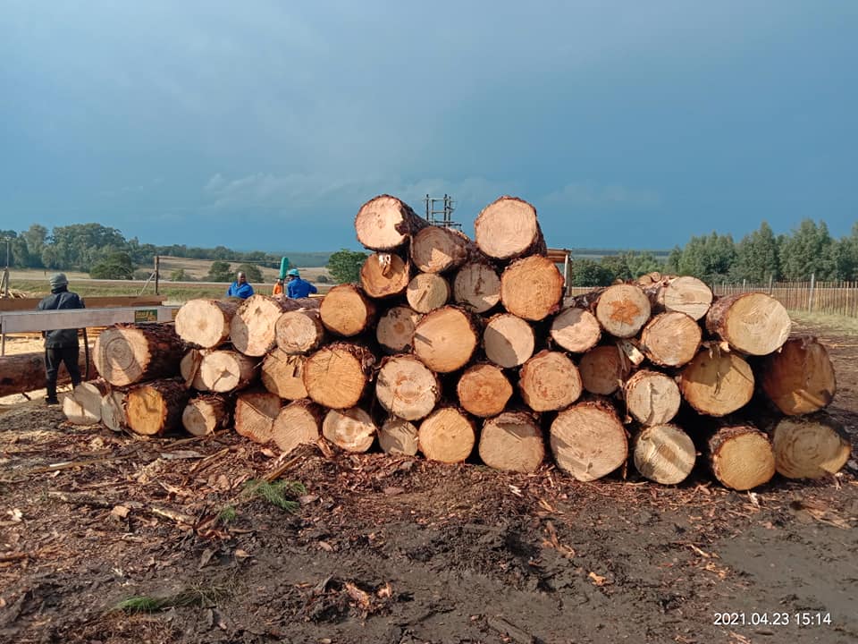 Team Infinity Timber | Mkhondo