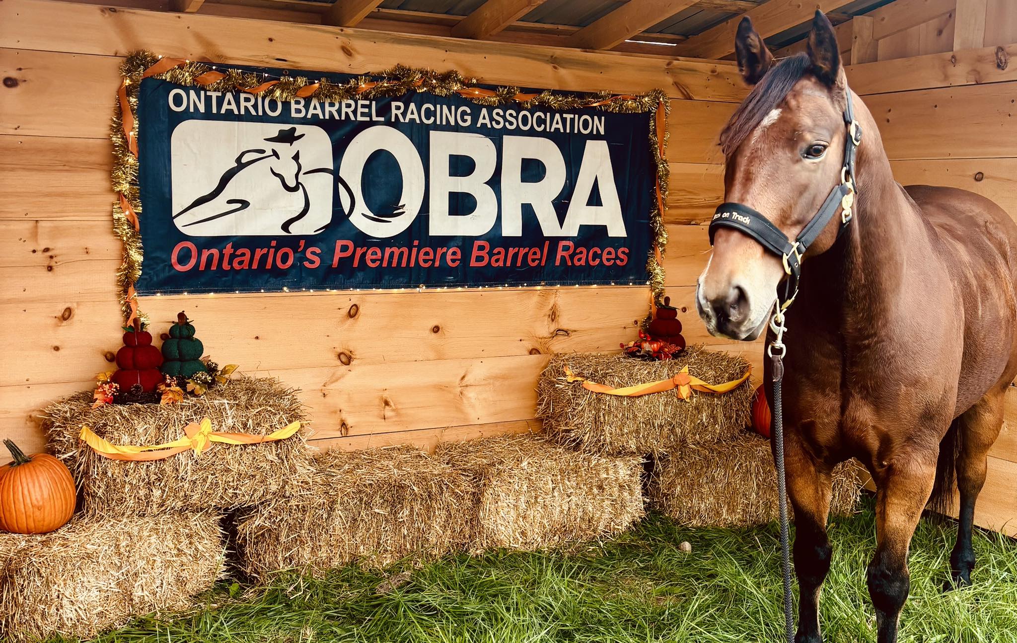 OBRA Ontario... - OBRA Ontario Barrel Racing Association