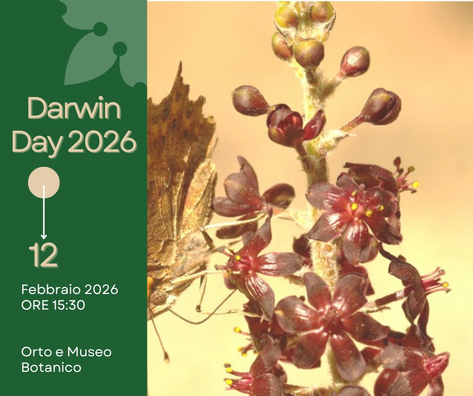 Orto e Museo Botanico di Pisa / Pisa Botanic Garden and Museum added a ...