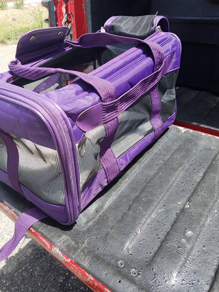 Will large Sherpa dog carrier fit 13.5 lbs dog?