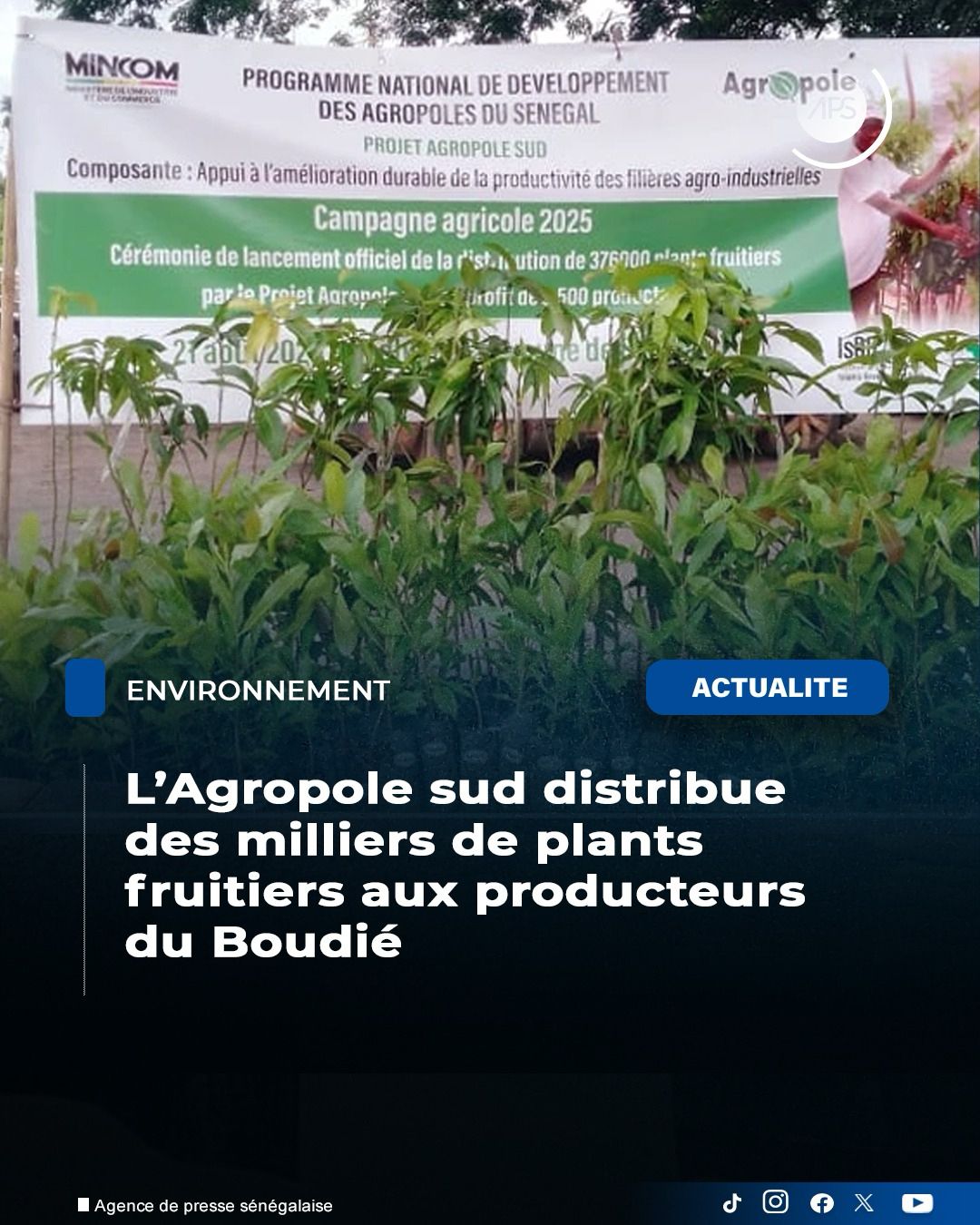 Le projet Agropole... - APS (Agence de Presse Sénégalaise) | Facebook
