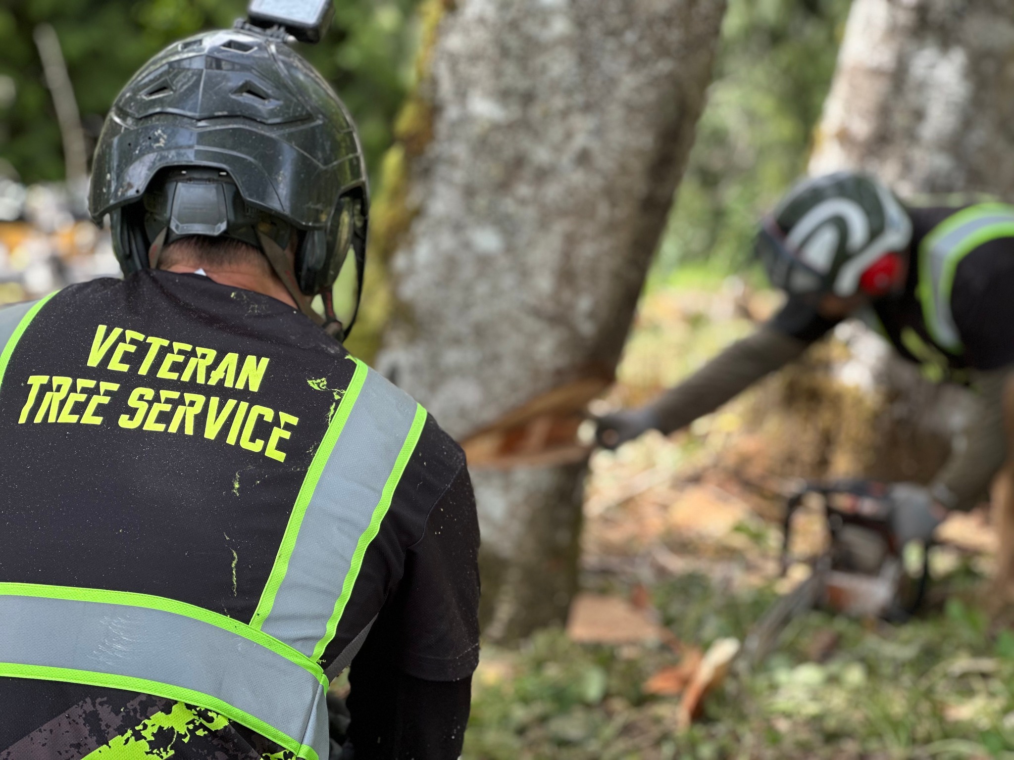 Veteran Tree Service, LLC | Lacey WA