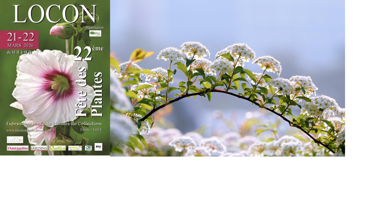 Sitemapcdatahttpsshudreferenzcomfete Des Plantes Locon 2023