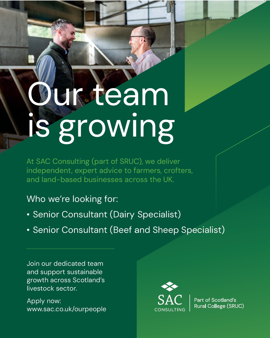 SAC Consulting