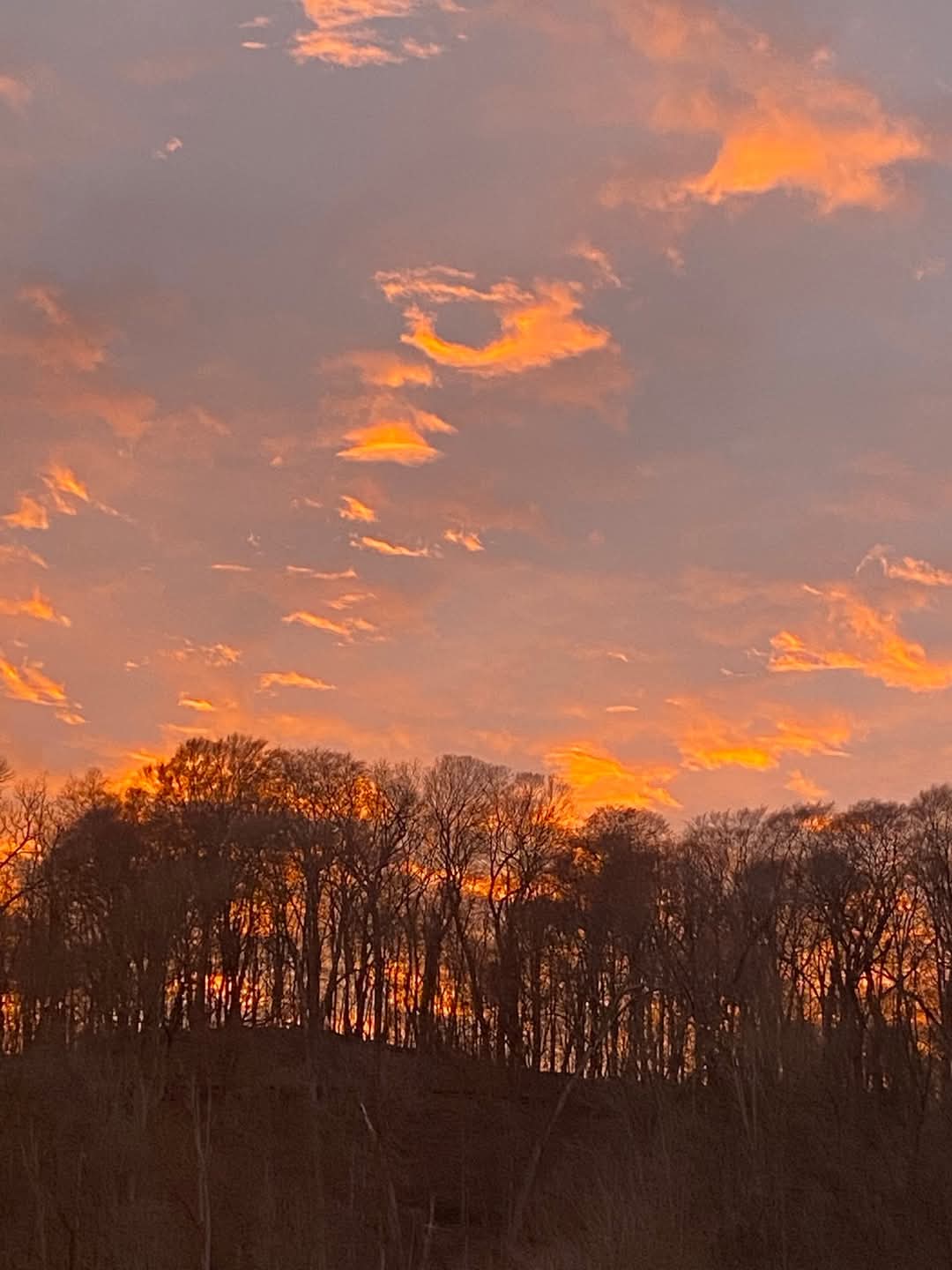 Chestnut Ridge Metro Park | Carroll OH