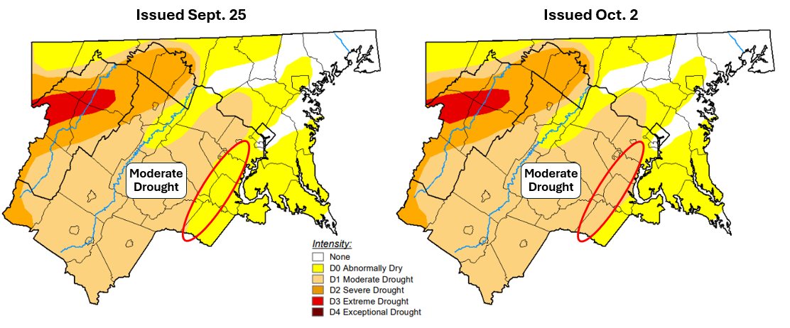 Capital - It wasn't a ton of rain, but we had just enough in the DC ...