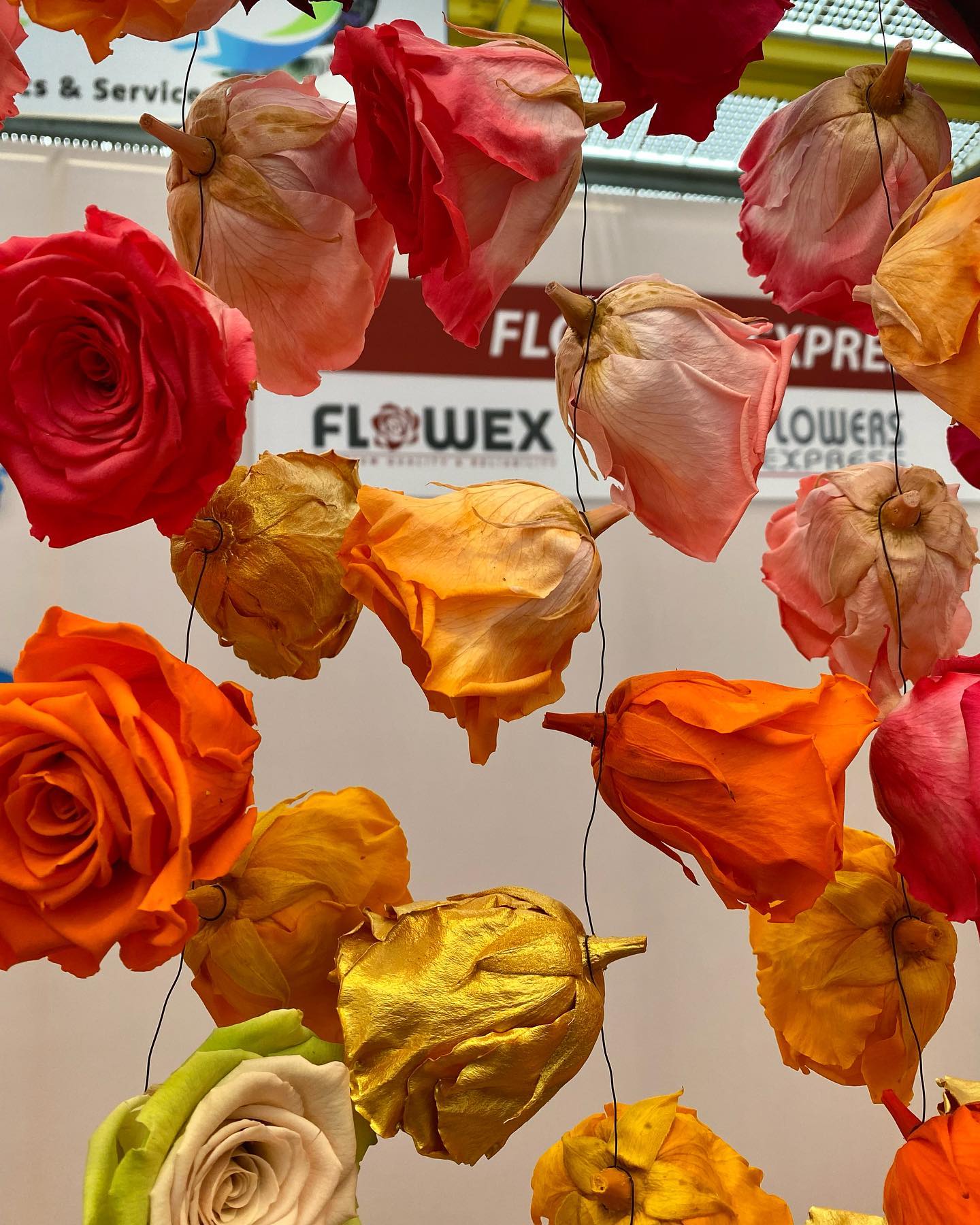 Flowex - Our stand is finally coming together 🌹 Come and... | Facebook