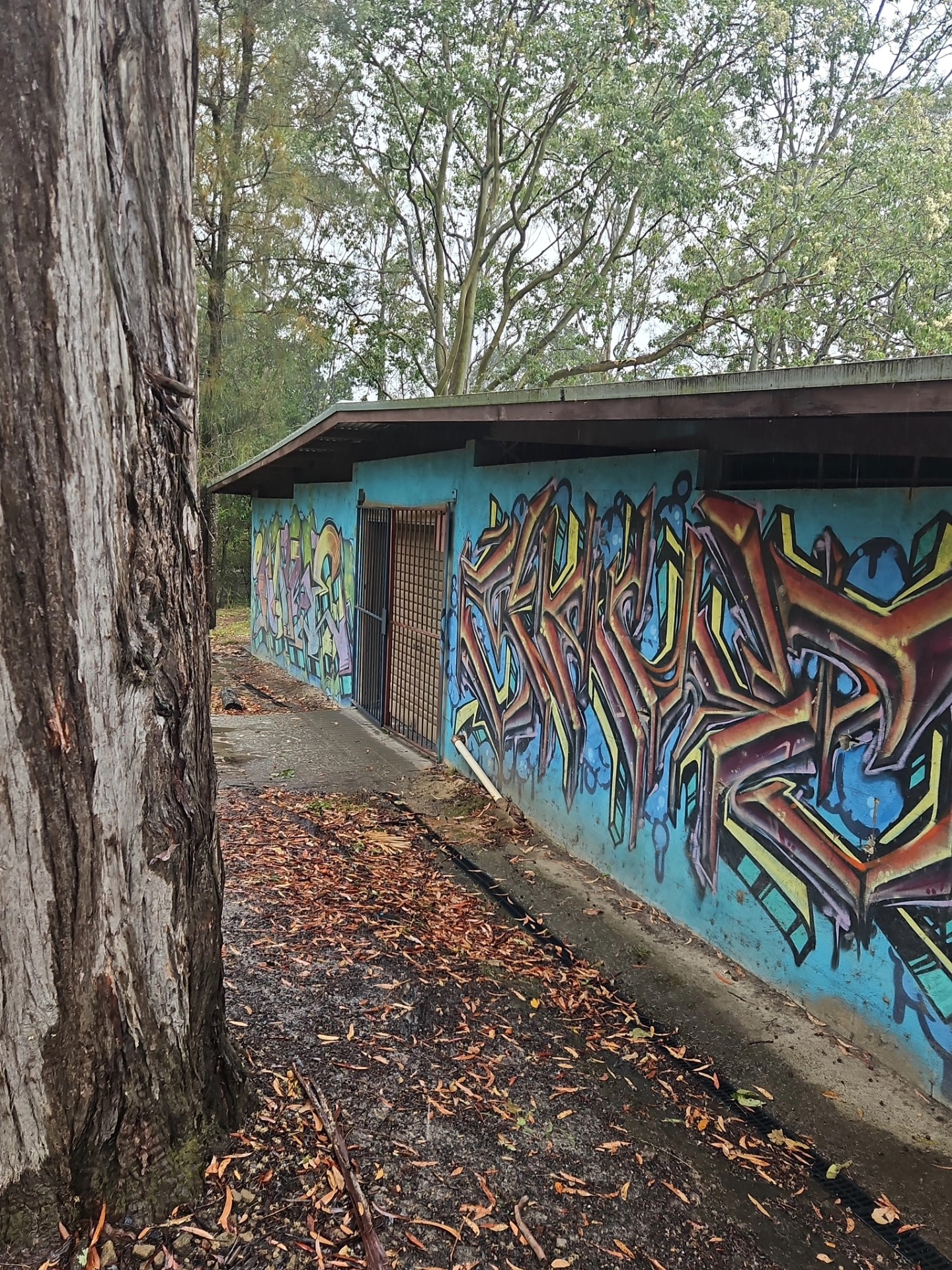 Coffs Harbour Boxing Club | Coffs Harbour NSW