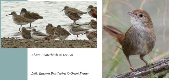 Talk 1: Beyond species counts; Talk 2: Eavesdropping on cryptic species ...