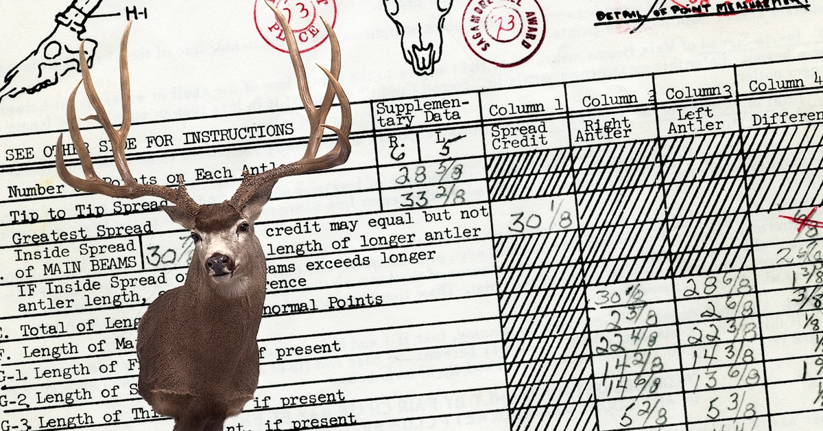 Boone - One rainy stalk in oak brush helped set the bar for typical ...
