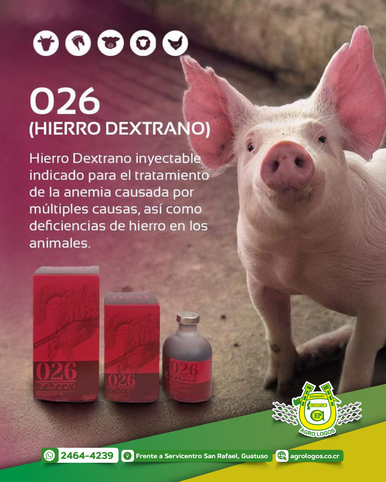 Almacén - 🐷💉 ¡Dale fuerza a tus animales desde el inicio! 026 (Hierro ...