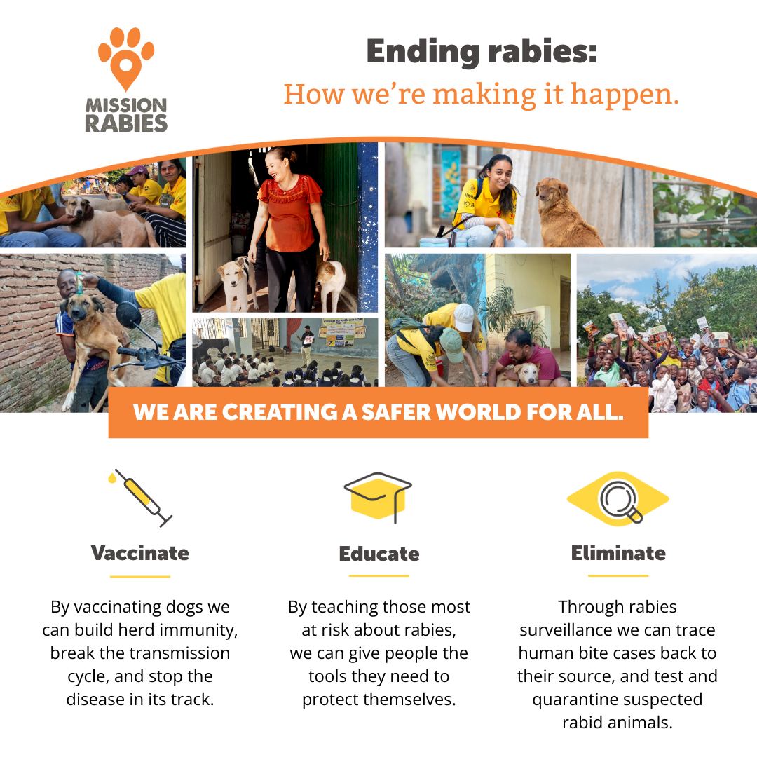 Mission - 🐕 💉 Ending rabies: How we’re making it happen. Rabies still ...