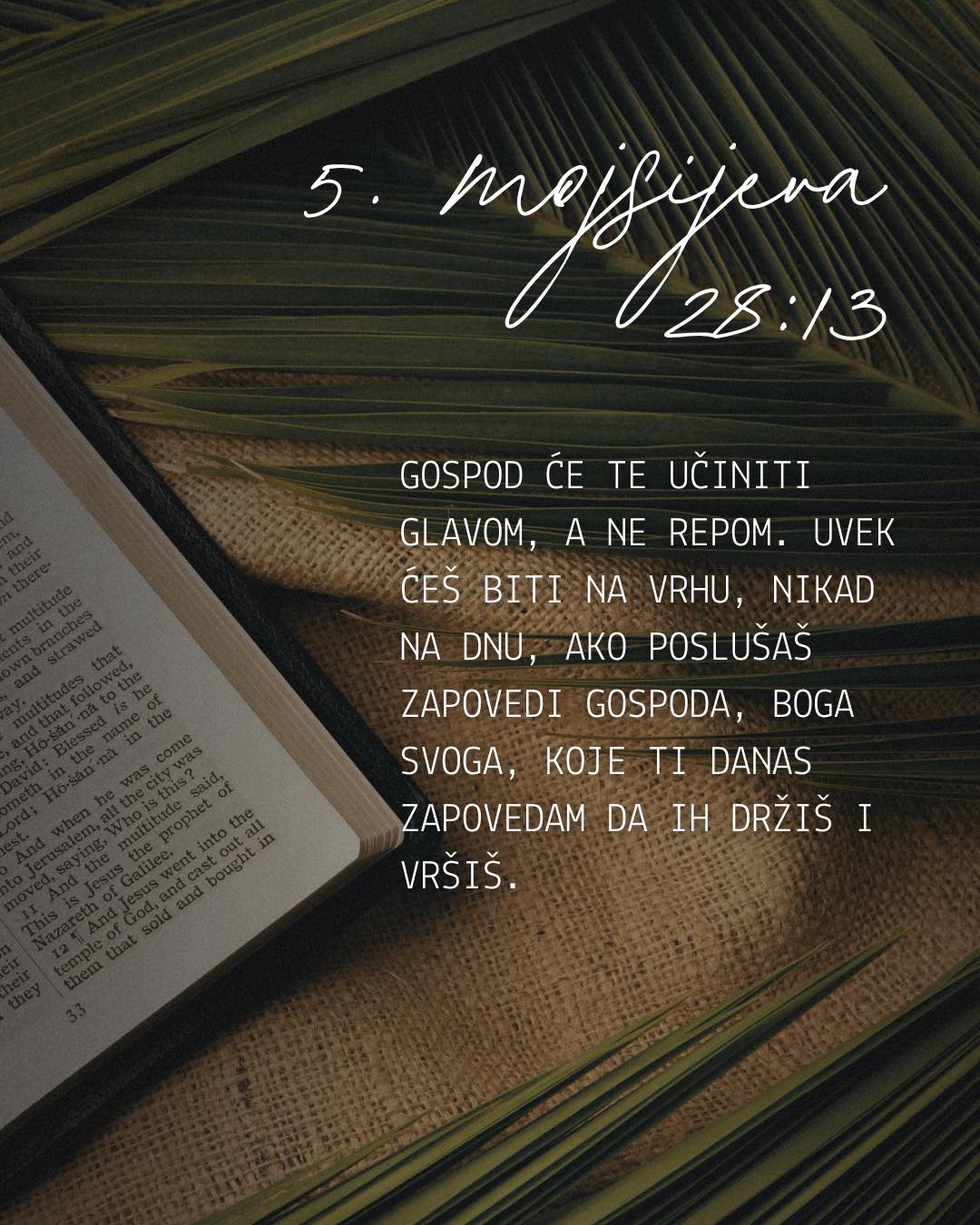 Hermon Band - Stih dana 1. Samuilo 17:46 Kad je David ušao u borbu ...